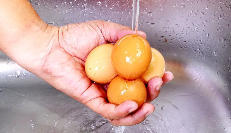 How to Clean Fresh Eggs